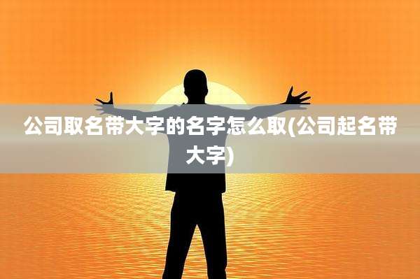 公司取名带大字的名字怎么取(公司起名带大字)
