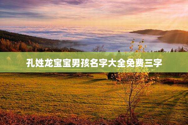 孔姓龙宝宝男孩名字大全免费三字