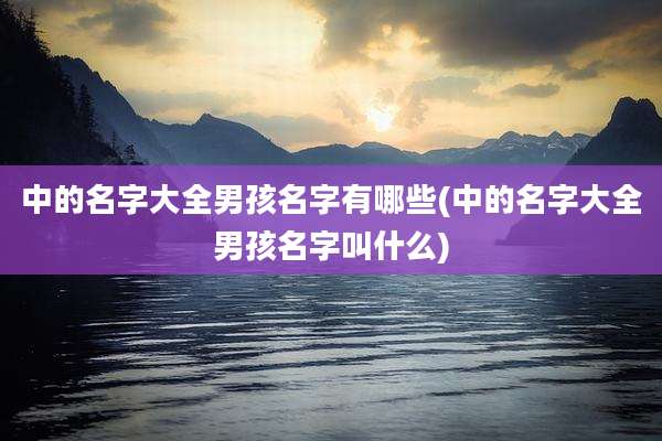 中的名字大全男孩名字有哪些(中的名字大全男孩名字叫什么)