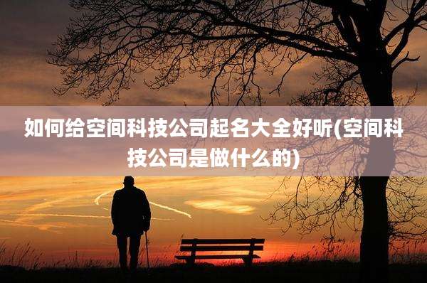如何给空间科技公司起名大全好听(空间科技公司是做什么的)