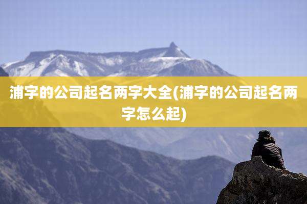 浦字的公司起名两字大全(浦字的公司起名两字怎么起)