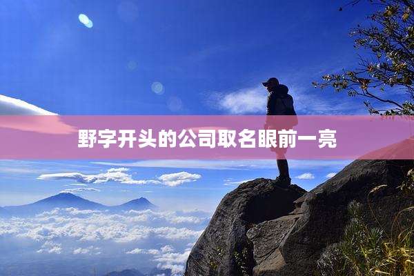 野字开头的公司取名眼前一亮
