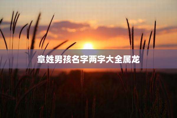 章姓男孩名字两字大全属龙