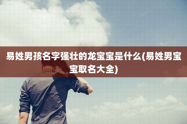 易姓男孩名字强壮的龙宝宝是什么(易姓男宝宝取名大全)