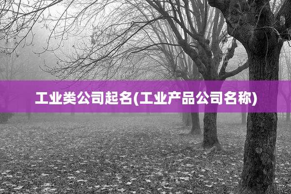 工业类公司起名(工业产品公司名称)