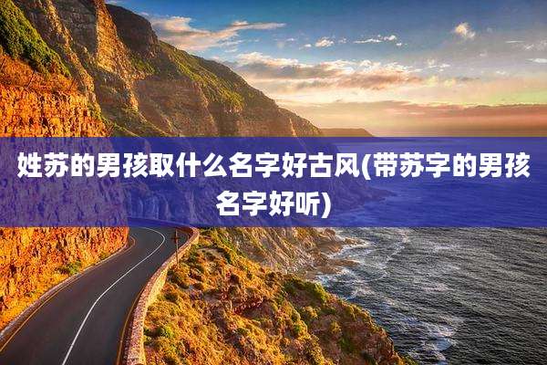 姓苏的男孩取什么名字好古风(带苏字的男孩名字好听)