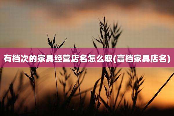 有档次的家具经营店名怎么取(高档家具店名)