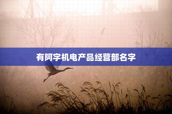 有阿字机电产品经营部名字