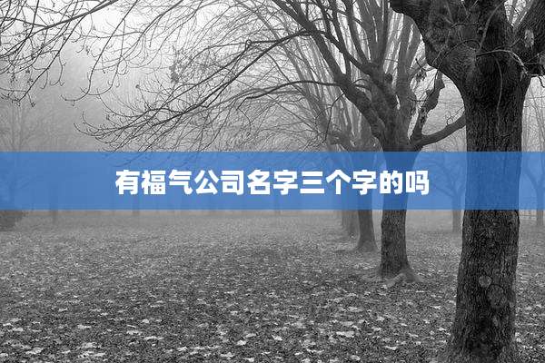 有福气公司名字三个字的吗