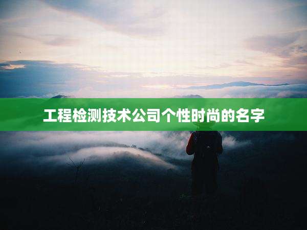 工程检测技术公司个性时尚的名字