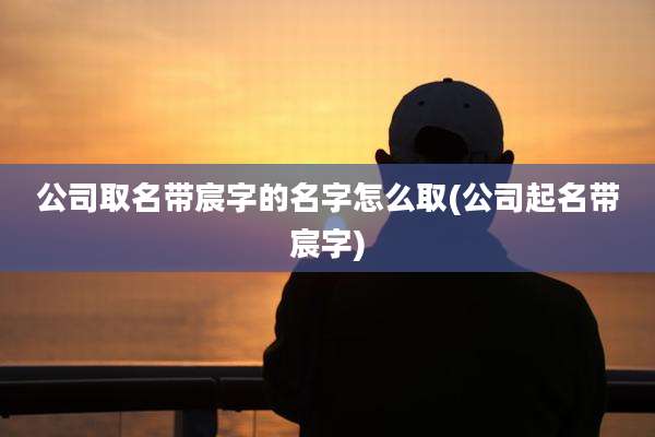 公司取名带宸字的名字怎么取(公司起名带宸字)