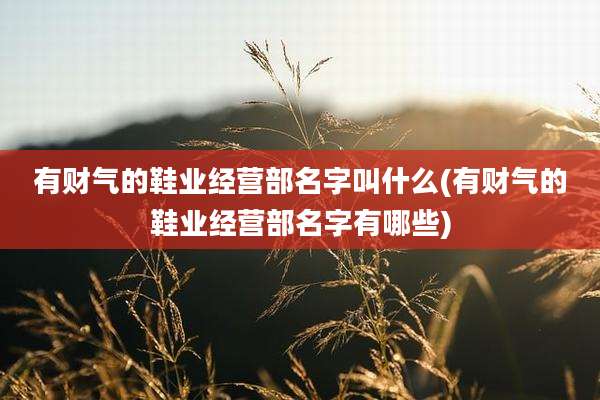 有财气的鞋业经营部名字叫什么(有财气的鞋业经营部名字有哪些)