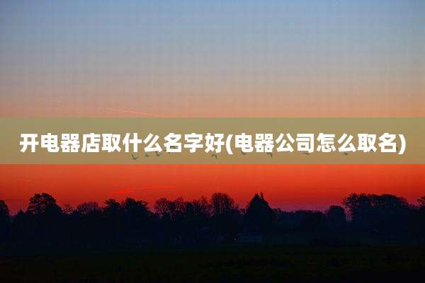 开电器店取什么名字好(电器公司怎么取名)