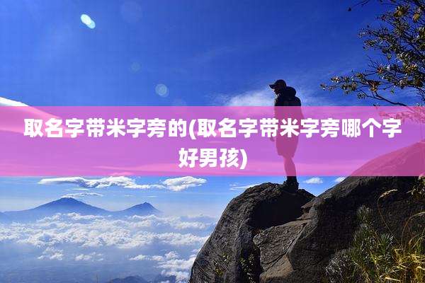 取名字带米字旁的(取名字带米字旁哪个字好男孩)