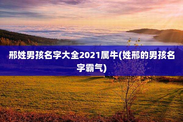 邢姓男孩名字大全2021属牛(姓邢的男孩名字霸气)