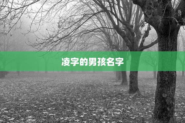 凌字的男孩名字
