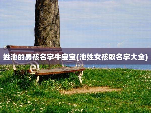 姓池的男孩名字牛宝宝(池姓女孩取名字大全)