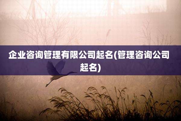 企业咨询管理有限公司起名(管理咨询公司 起名)