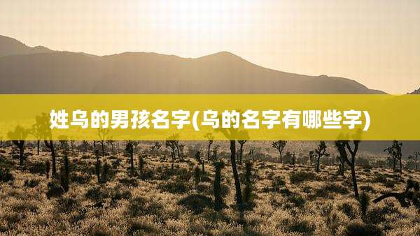 姓乌的男孩名字(乌的名字有哪些字)