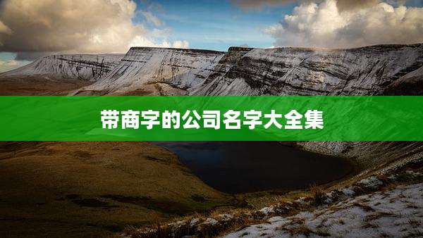 带商字的公司名字大全集