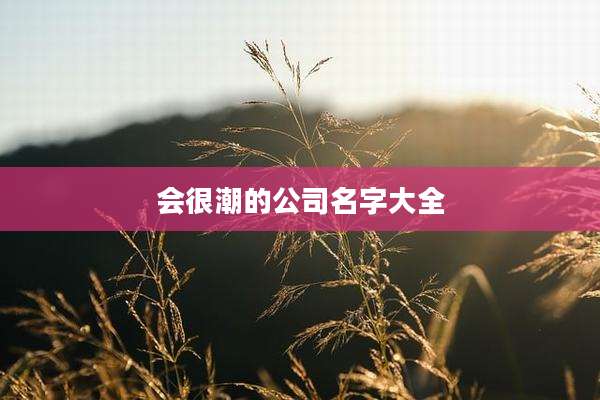 会很潮的公司名字大全