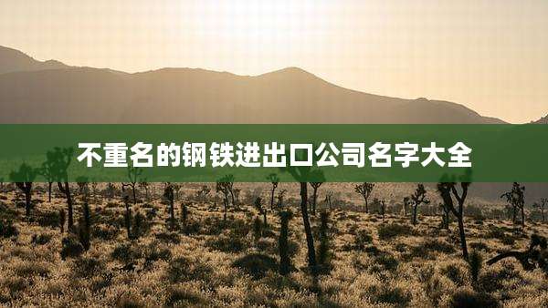 不重名的钢铁进出口公司名字大全