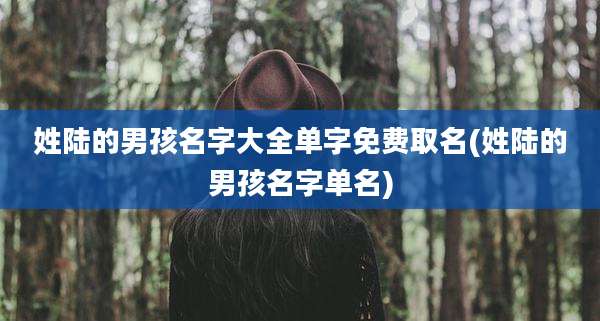 姓陆的男孩名字大全单字免费取名(姓陆的男孩名字单名)
