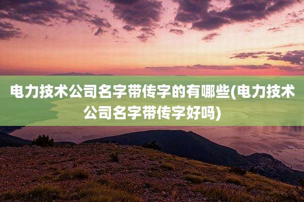 电力技术公司名字带传字的有哪些(电力技术公司名字带传字好吗)