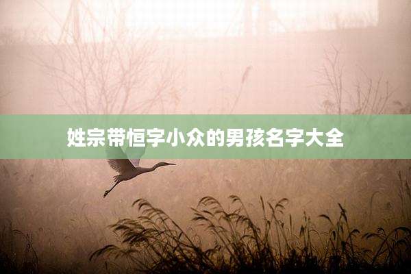 姓宗带恒字小众的男孩名字大全
