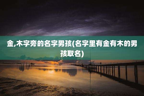 金,木字旁的名字男孩(名字里有金有木的男孩取名)