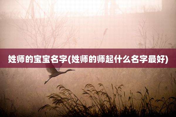 姓师的宝宝名字(姓师的师起什么名字最好)