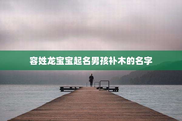 容姓龙宝宝起名男孩补木的名字