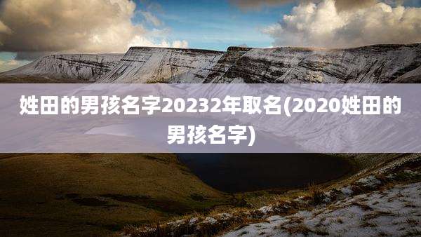 姓田的男孩名字20232年取名(2020姓田的男孩名字)