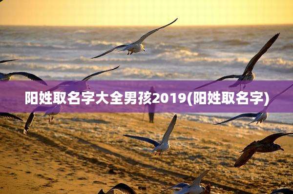 阳姓取名字大全男孩2019(阳姓取名字)