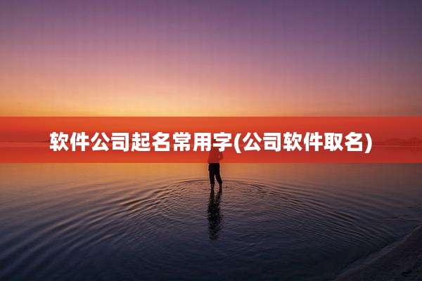 软件公司起名常用字(公司软件取名)