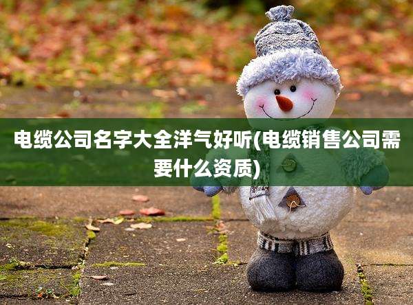 电缆公司名字大全洋气好听(电缆销售公司需要什么资质)