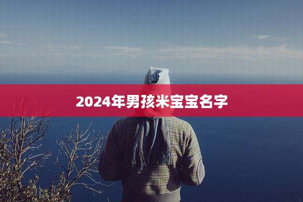 2024年男孩米宝宝名字
