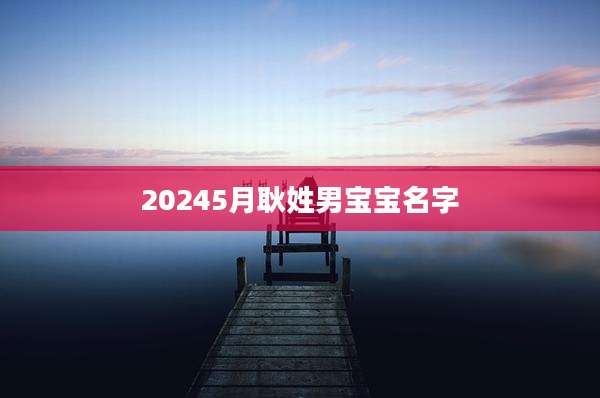 20245月耿姓男宝宝名字