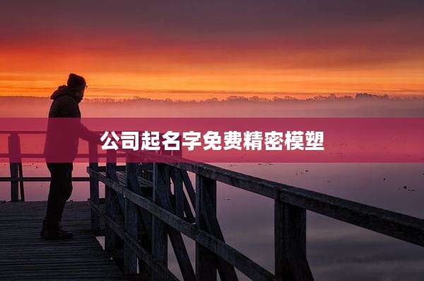 公司起名字免费精密模塑