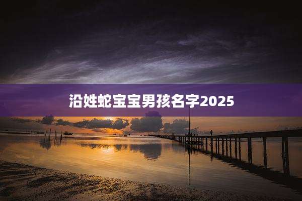 沿姓蛇宝宝男孩名字2025