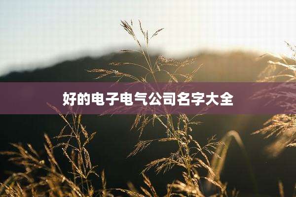 好的电子电气公司名字大全