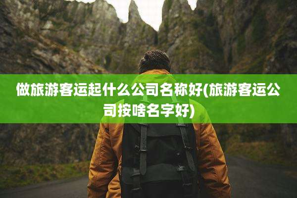 做旅游客运起什么公司名称好(旅游客运公司按啥名字好)