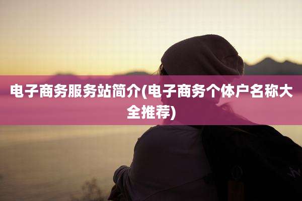 电子商务服务站简介(电子商务个体户名称大全推荐)