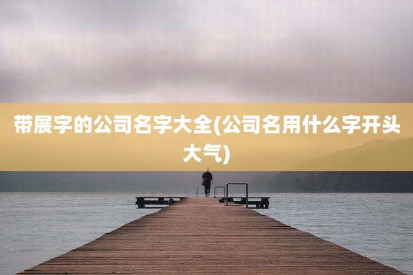 带展字的公司名字大全(公司名用什么字开头大气)