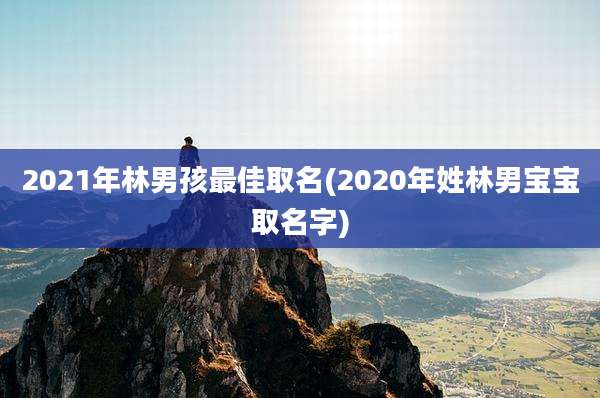 2021年林男孩最佳取名(2020年姓林男宝宝取名字)