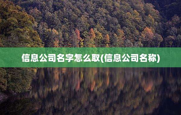 信息公司名字怎么取(信息公司名称)