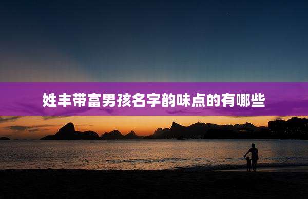 姓丰带富男孩名字韵味点的有哪些