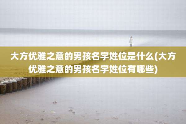 大方优雅之意的男孩名字姓位是什么(大方优雅之意的男孩名字姓位有哪些)
