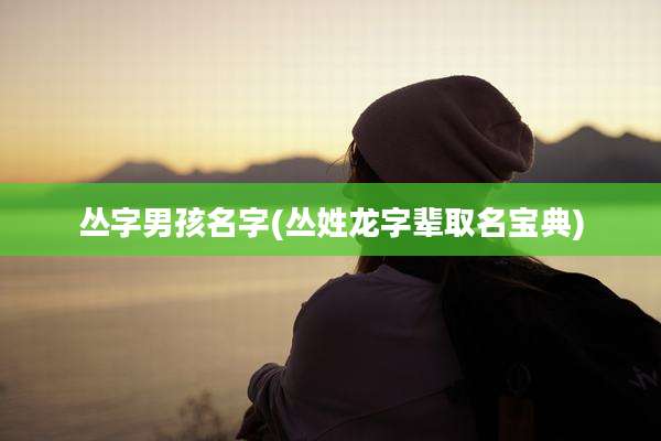 丛字男孩名字(丛姓龙字辈取名宝典)