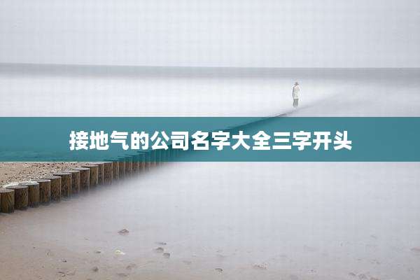 接地气的公司名字大全三字开头